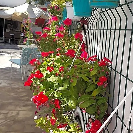 Duru Butik 3* Бодрум
