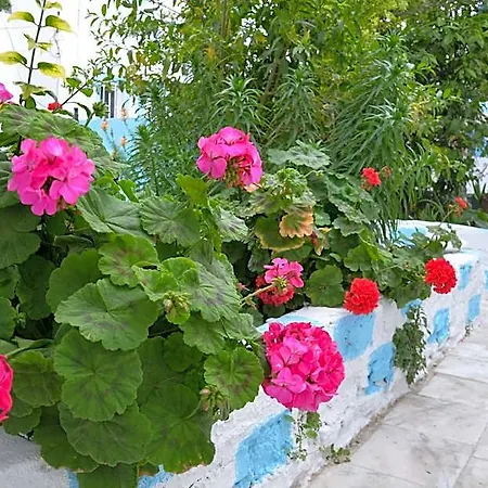 Duru Butik Bodrum